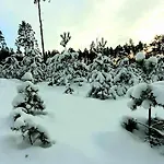 Dom wakacyjny Karu Rannamaja
