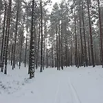 Karu Rannamaja Dom wakacyjny *