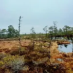 Karu Rannamaja Dom wakacyjny Tahkuranna