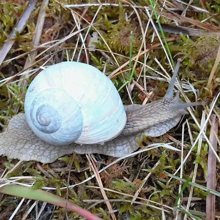 Karu Rannamaja Tahkuranna