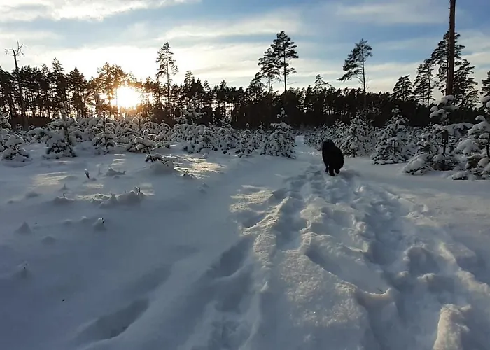 Karu Rannamaja * Tahkuranna