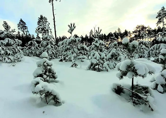 Holiday home Karu Rannamaja