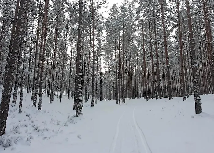 Karu Rannamaja Vakantiehuis *