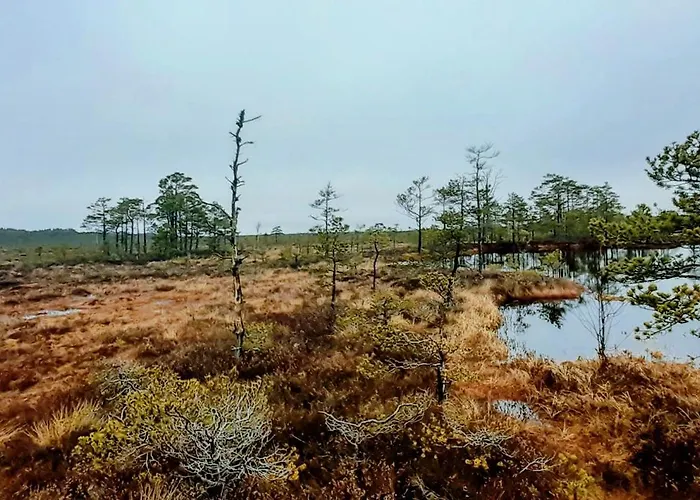 Karu Rannamaja Vakantiehuis Tahkuranna