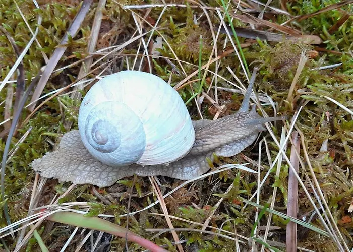 Karu Rannamaja Tahkuranna