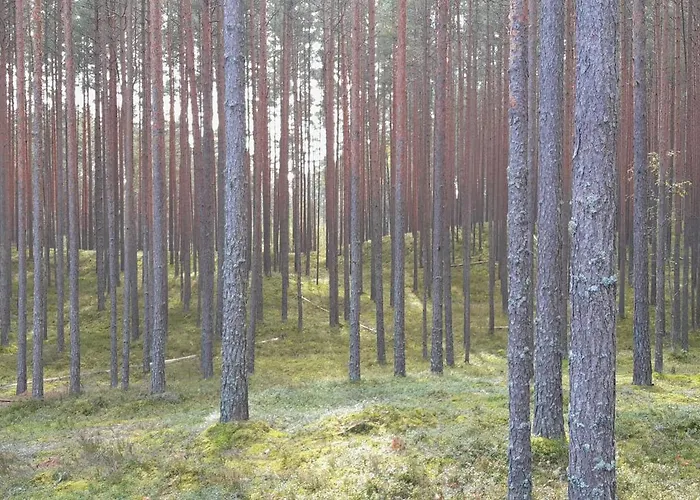 Holiday home Karu Rannamaja Tahkuranna